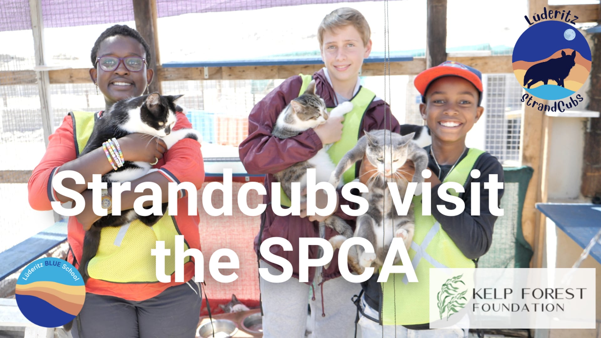 Strandcubs visit the SPCA