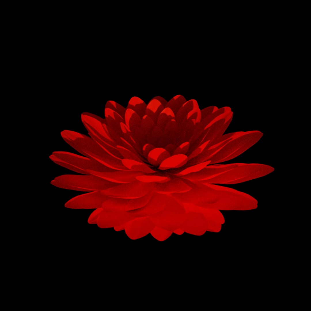 Loop on Vimeo