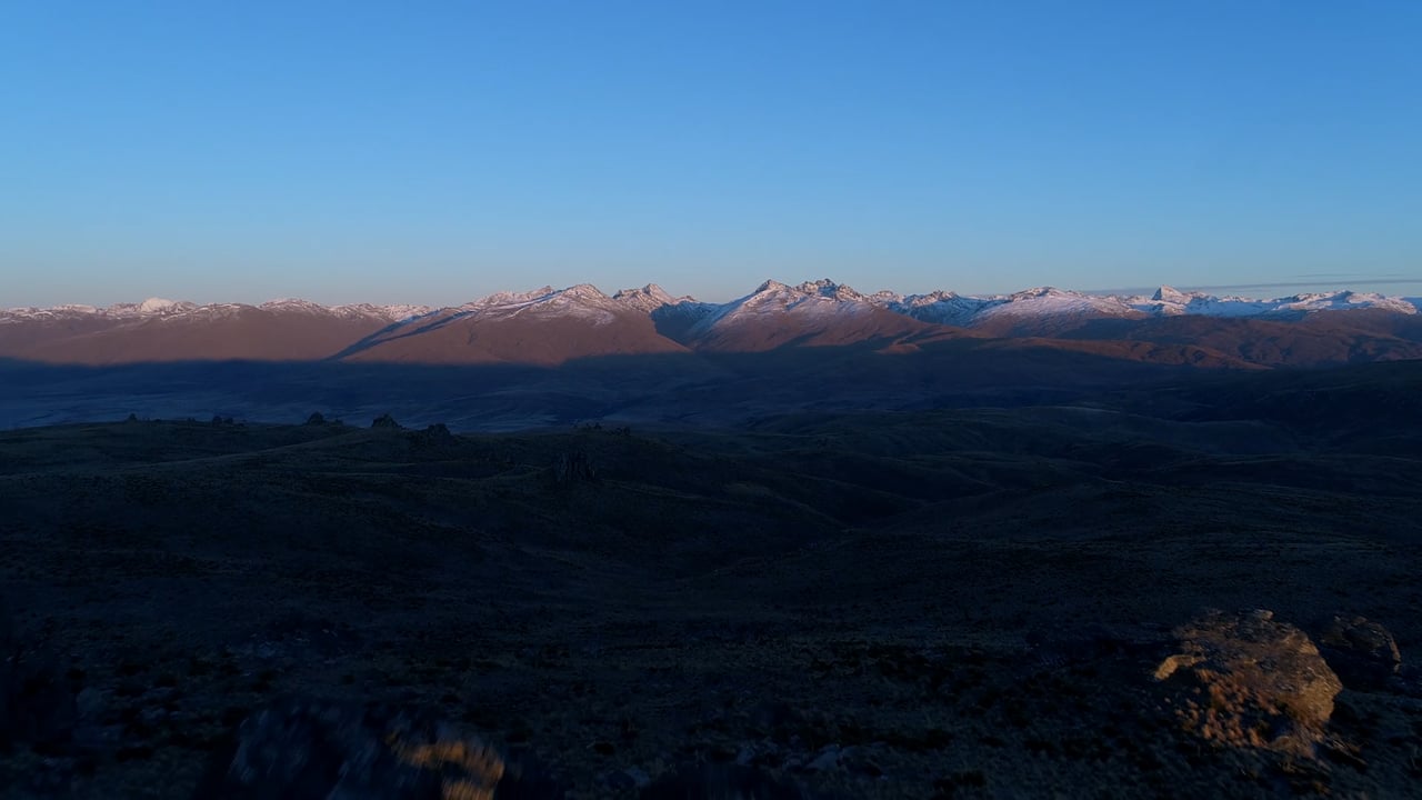 About New Zealand Safaris
