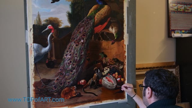 Melchior d'Hondecoeter | Peacocks | Painting Reproduction Video | TOPofART