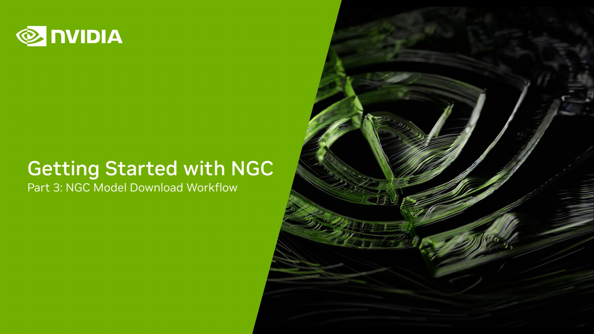 Getting Started with NGC- Part 3: NGC Model Download Workflow | Videos ...