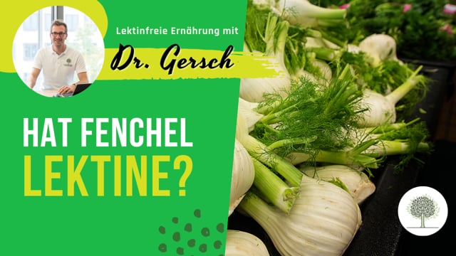 Hat Fenchel Lektine?