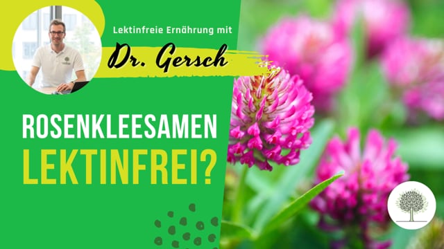 Sind Rosenkleesamen lektinfrei? 