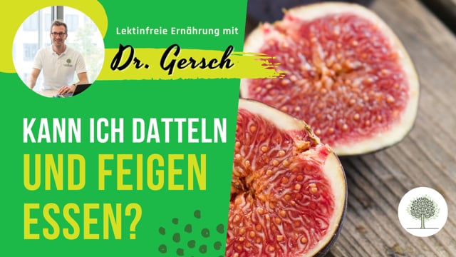 Sind Datteln und Feigen lektinfrei?