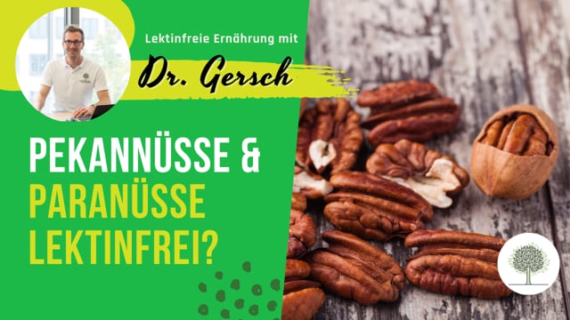 Sind Paranüsse und Pekannüsse lektinfrei? 