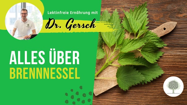 Sind Brennnessel und Brennnesselsamen lektinfrei?