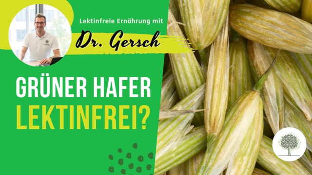 Ist grüner Hafer lektinfrei? 