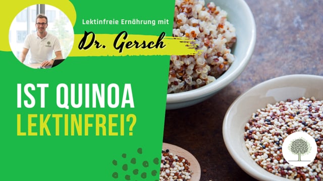 Ist Quinoa lektinfrei?