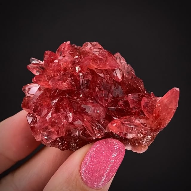 Rhodochrosite - SM23-42 - Hotazel Mine - South Africa Mineral Specimen