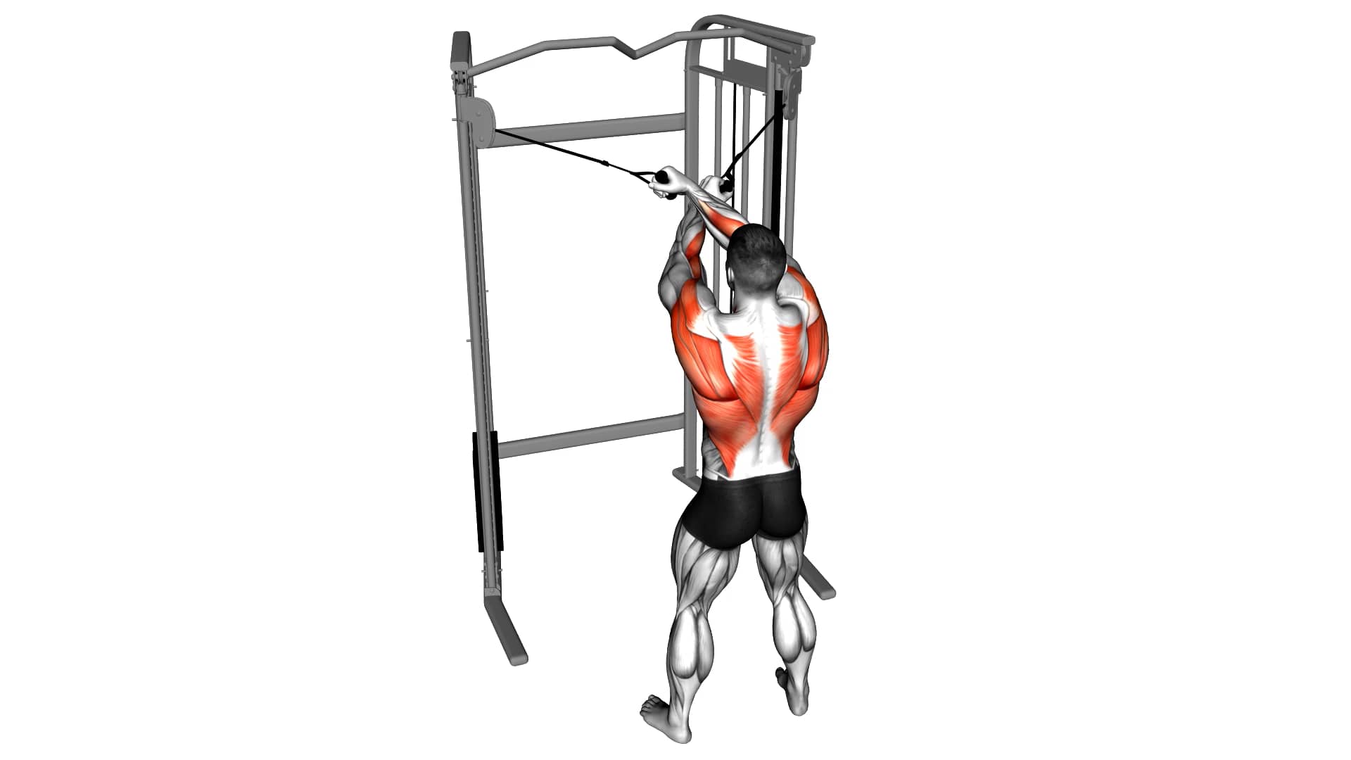 CableCrossoverLateralPulldown_Back on Vimeo