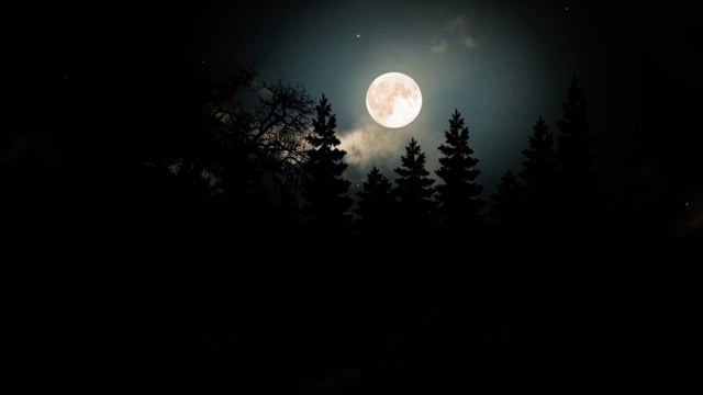 Moonlight Videos: Download 269+ Free 4K & HD Stock Footage Clips