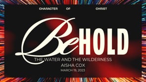 The Water And The Wilderness