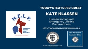 Interview Series with Kate Klasen