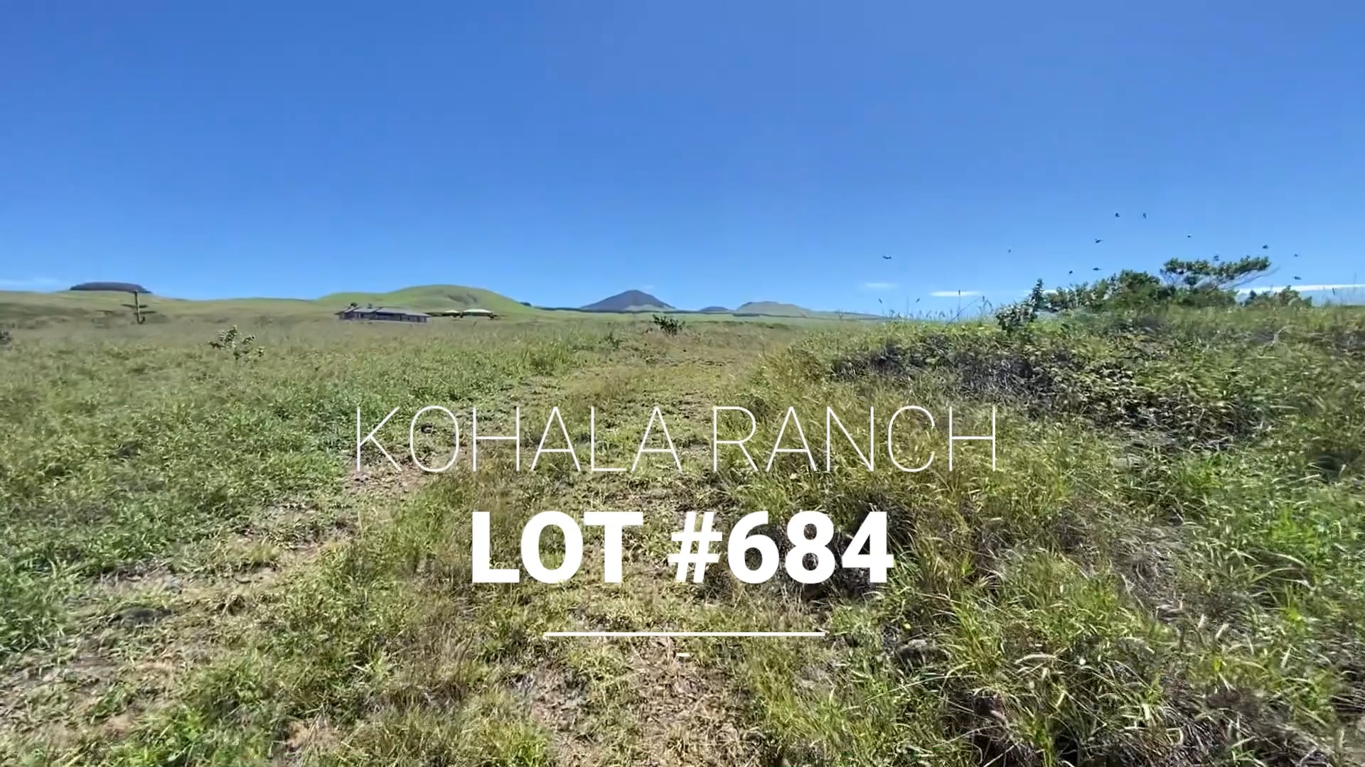 Kohala Ranch Lot 684 on Vimeo