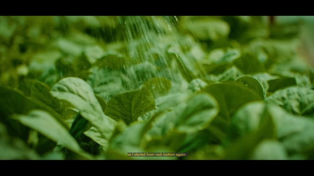 Mr Chiam's Crops
