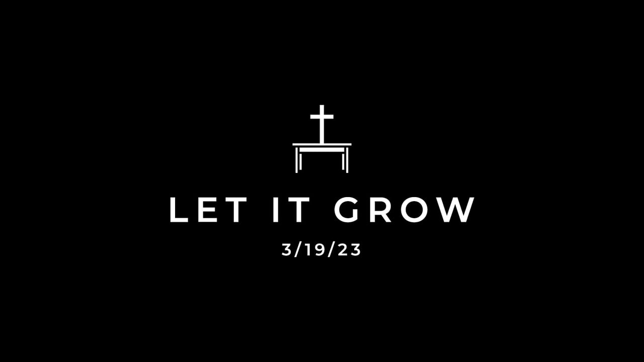 Q3/19/23 Let It Grow