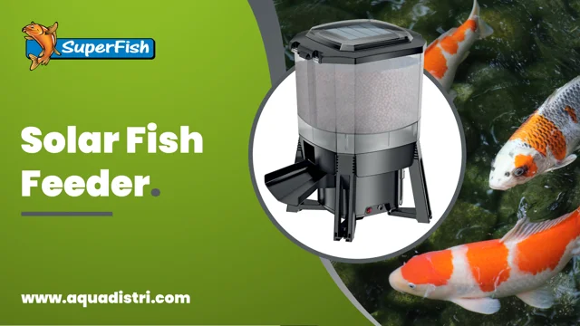 SuperFish Solar Fish Feeder