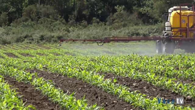 Contribuye al incremento de la producción y refuerza la respuesta de la planta ante situaciones de estrés