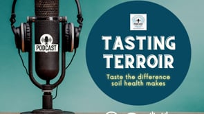 The Role of Regenerative Farmers In Bringing Flavor Back to Food