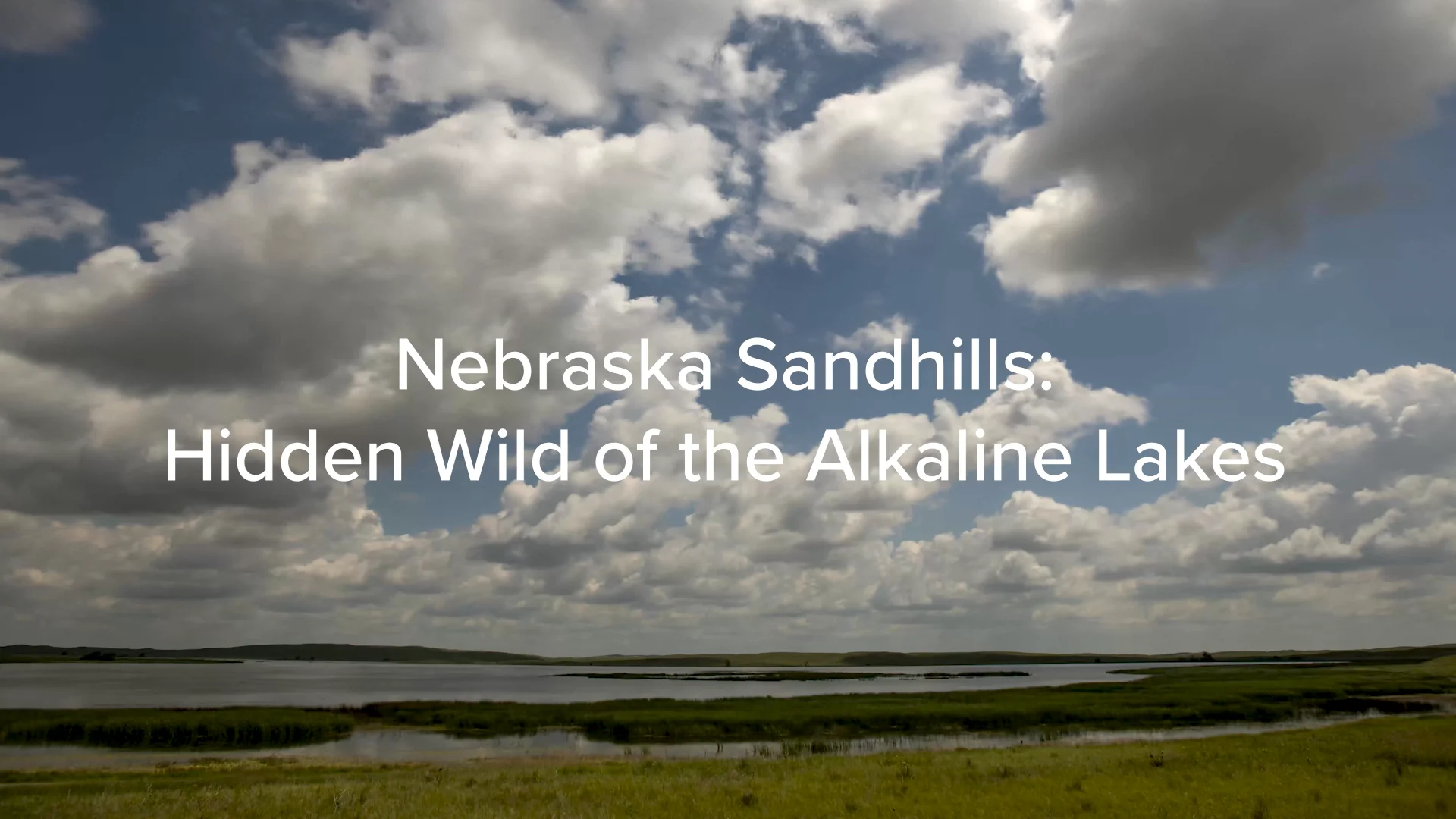 Alkaline Lakes Wildlife on Vimeo