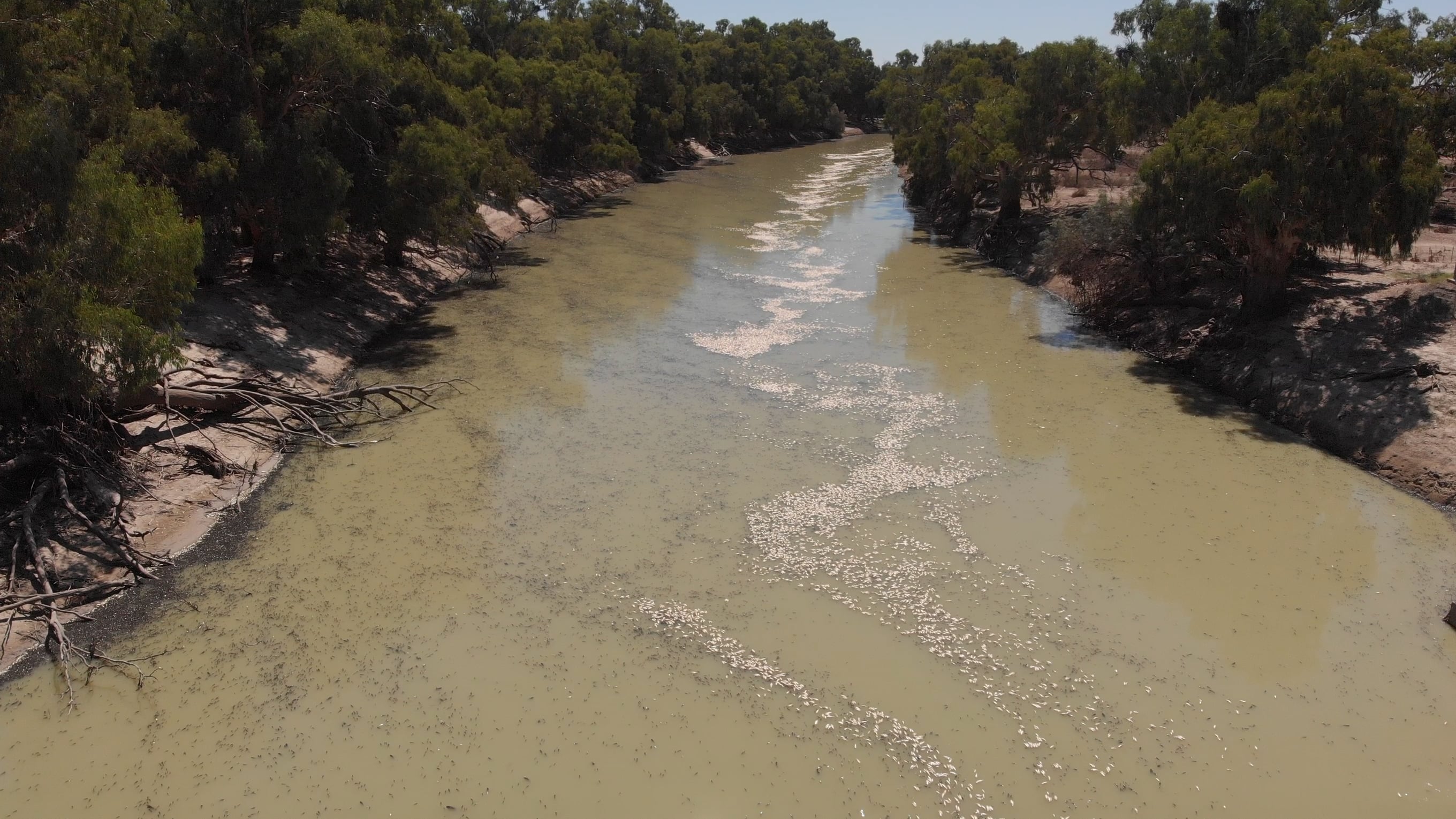 Menindee Local Aboriginal Land Council
