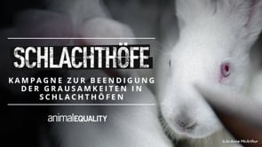 Kampagne zur Beendigung der Grausamkeiten in Schlachthöfen