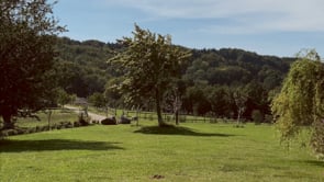 IMG_1613-grain-lila.mov