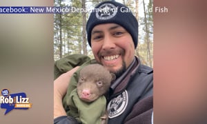 New Mexico Looking for Bear Huggers