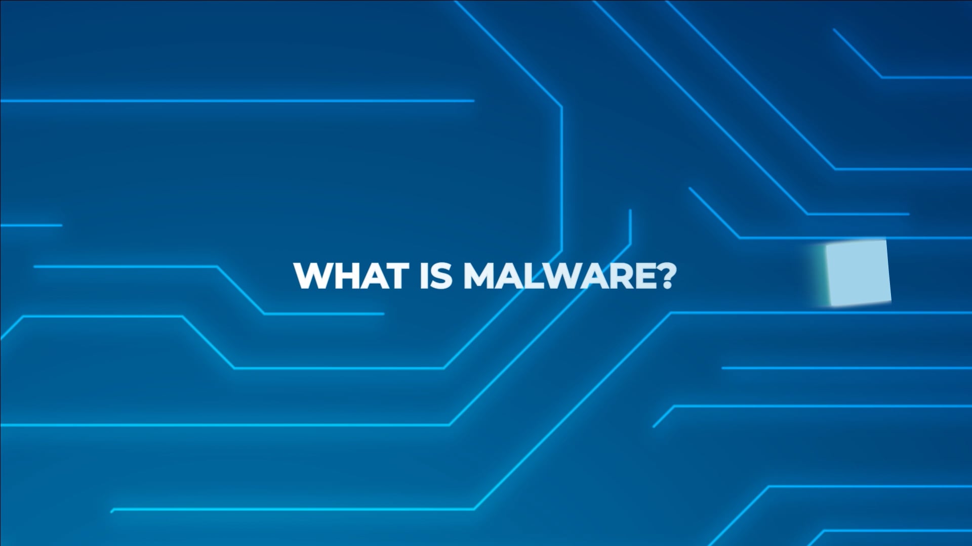 Viruses & Malware.mp4