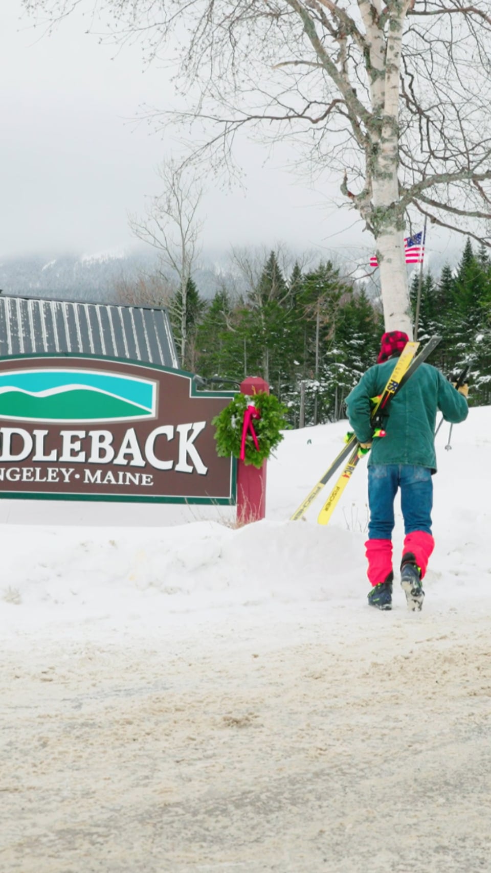 Saddleback x Donny Pelletier - Saddleback Sign
