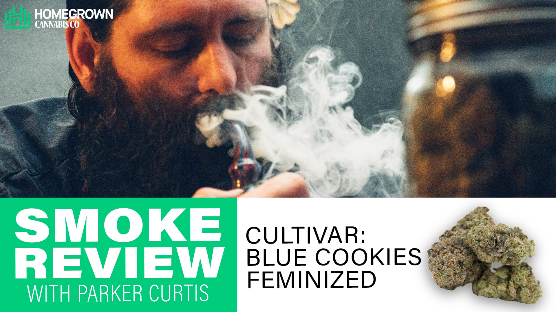 Blue Cookies Feminized Cannabis Seeds