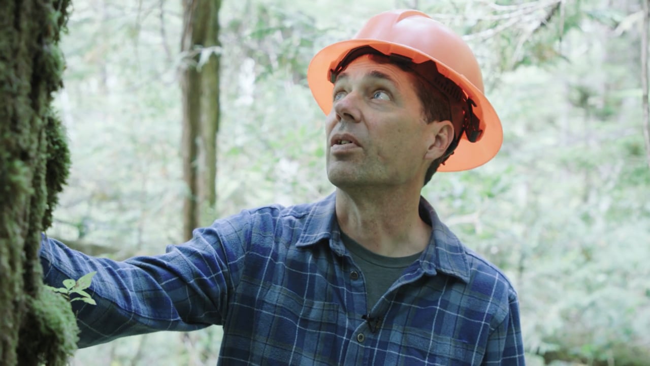 Forestry in KCFN | Len Apedaile Interview, October 2022