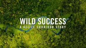 WILD SUCCESS: A Belize Corridor Story {dir}