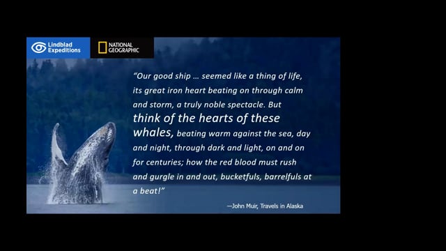 The Exceptional Whales of Southeast Alaska with Lindblad Expeditions