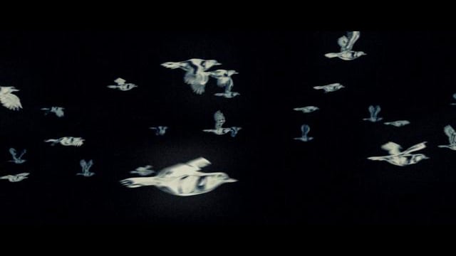 MayaVanya & Magik Johnson feat. Silva MC & Tek - Don't Need No One thumbnail