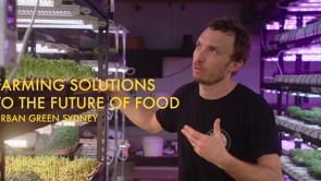 Related Embedded Video Item Thumbnail