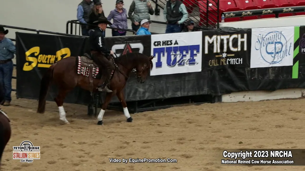 THIS CATS THE MARK shown by BRANDON BUTTARS 2023 NRCHA Stallion