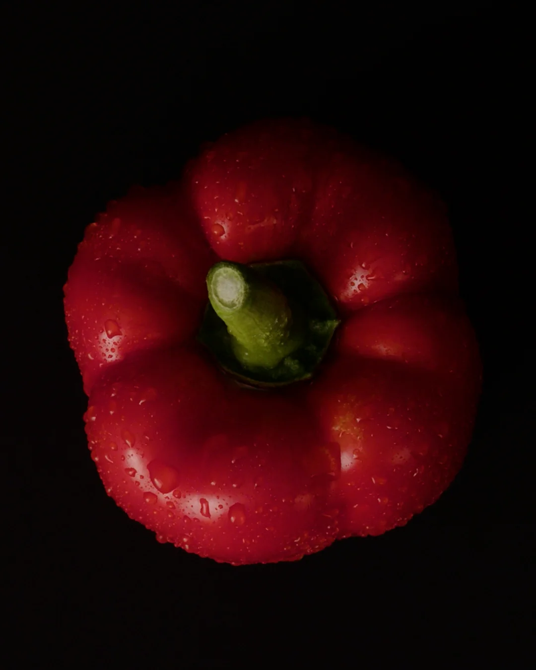 15 Second - portrait on Vimeo