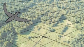 Storyboard Test