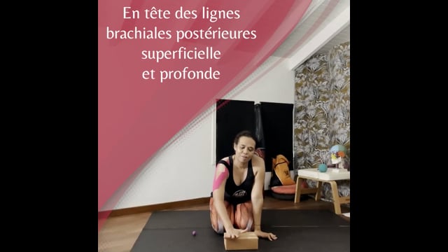 Yoga du visage + - En Tête des Lignes Brachiales Postérieures Superficielle et Profonde