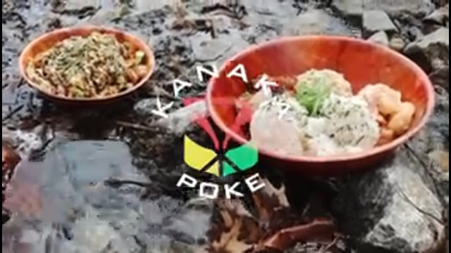 Breakwater Poke Company - GLOUCESTER, MA 01930 (Menu & Order Online)