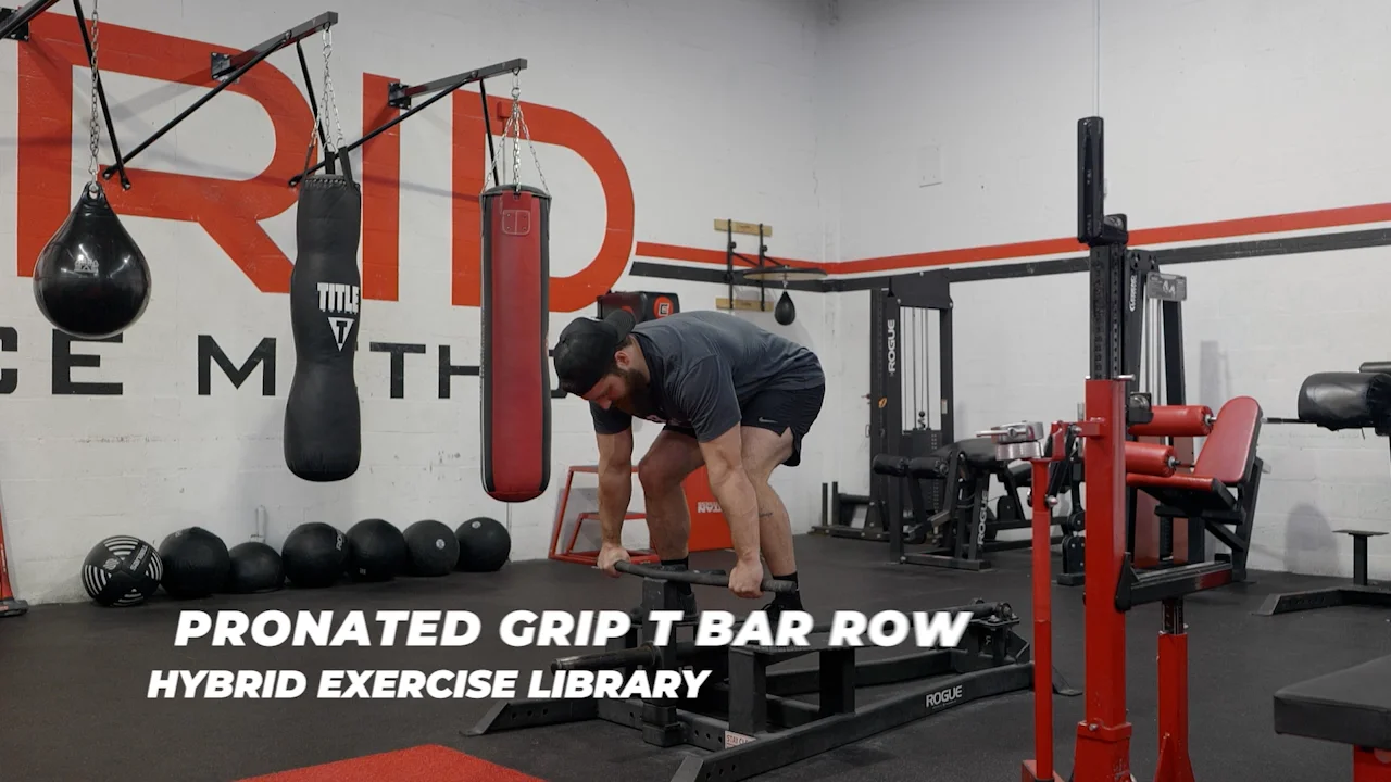 pronated grip t bar row on Vimeo