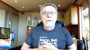 Cleanse your Pet's Liver