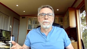 Can I Feed My Dog/Cat a Vegetarian Diet?