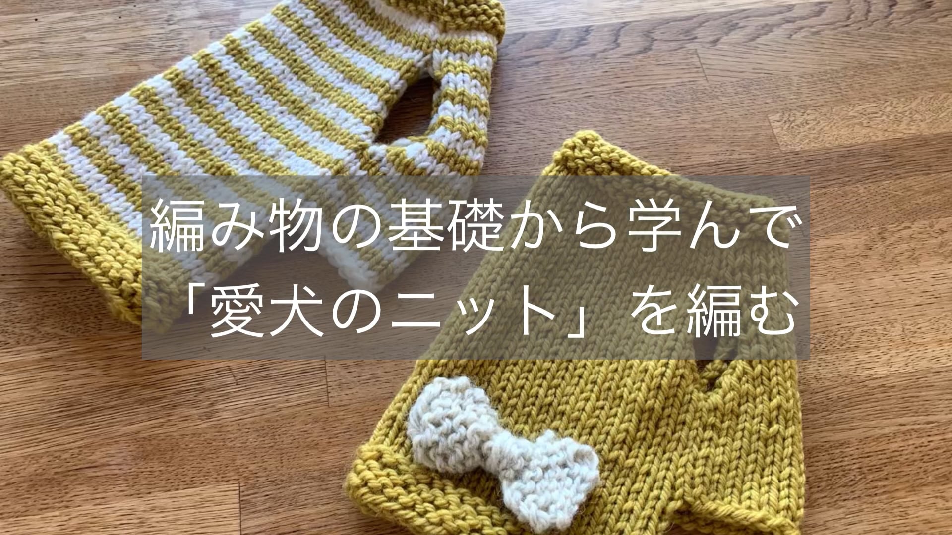 予告編動画のサムネイル画像