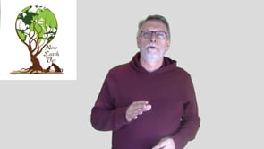 It is NOT normal for cats to vomit!