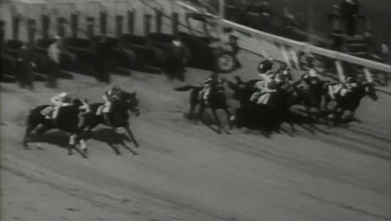 Call to Post, Horse race, Derby, Kentucky, Southern, Racing, May