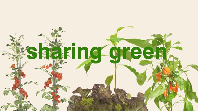 Sharing Green