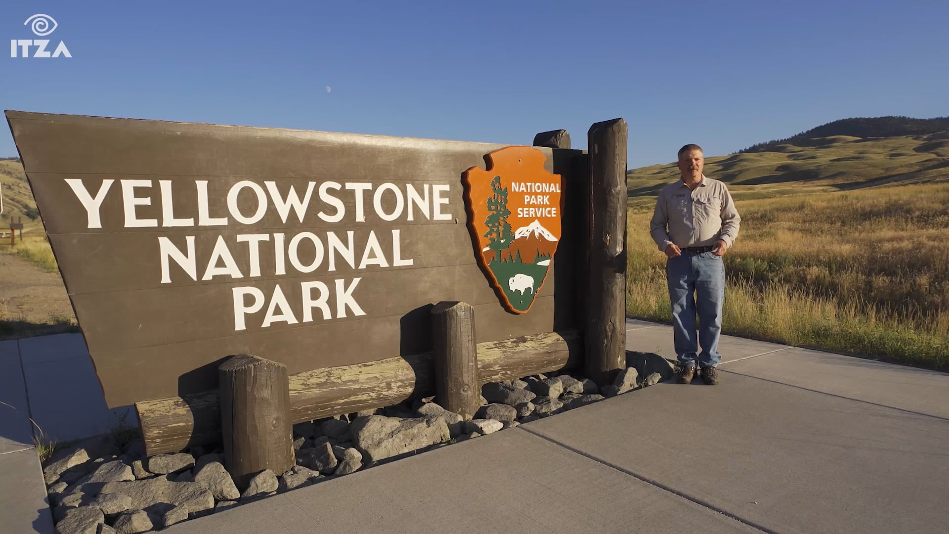 Rewilding introduction