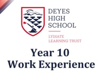 Year 10 Work Experience Success